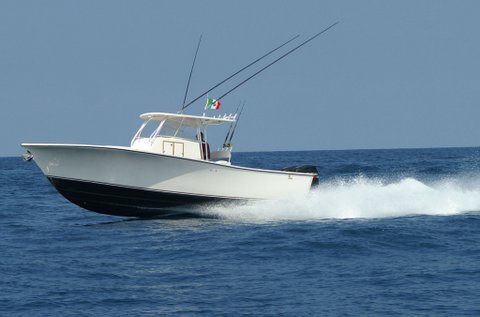 <<< VENDUTO >>> Al custom 30 WA + 2x300 Suzuki - 2008<br><a href=dettaglio.aspx?Id=221 >VAI ALLA SCHEDA</a>